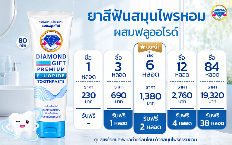 ยาสีฟันไดมอนด์กิฟ Premium 2 in 1 (80g)
